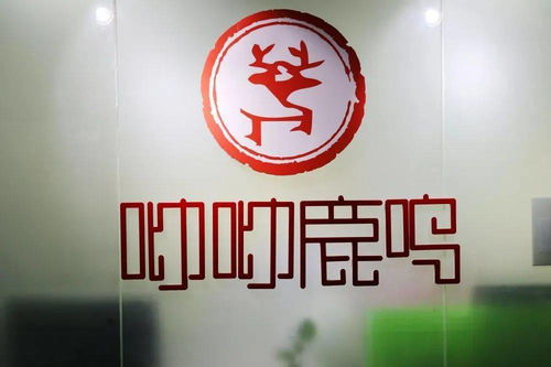 絲路千里,由今始發(fā) 熱烈歡迎張騫紀念館趙佳倪主任一行蒞臨呦呦鹿鳴公司參觀考察