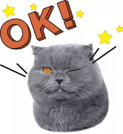 藝見鐘心 魔鬼來了,秋冬好物大賞