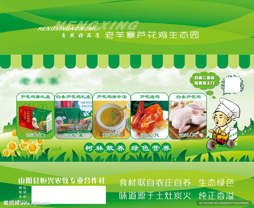 綠色食品包裝設(shè)計(jì)圖片