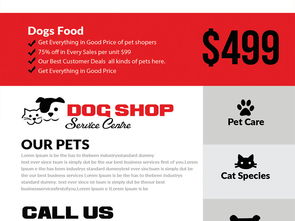 寵物用品商店服務介紹促銷活動宣傳海報模板圖片設計素材 高清psd下載 3.97mb 國外創意海報大全