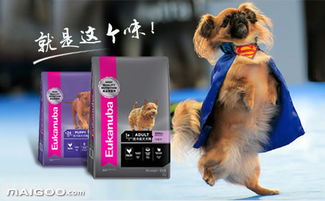 2018年寵物食品十大品牌加盟店排行榜與行業(yè)趨勢(shì)分析